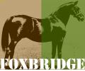 Foxbridge Thoroughbred - Rudolf Boelee